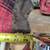 Wool hunting pants 5 thumbnail