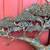 Vintage 13lb brass tree wall sculpture by Robert Scott 3 thumbnail