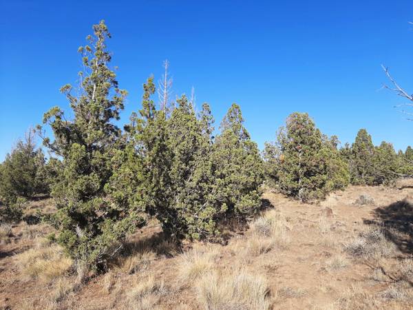 $79,900 Nice lot with good views! (Prineville)63839291089411122