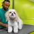 Experienced Dog Groomer 3 thumbnail