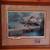 Famous Wildlife prints - $45 (Plymouth) 5 thumbnail