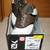 *FJ*  Foot Joy Men's Golf Shoes 11.5W 2 thumbnail