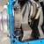 FRESH 550 - 600 HP SMALL BLOCK CHEVY MOTOR 7 thumbnail