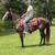 Walking Horse Broke to Ride - Jade 2 thumbnail