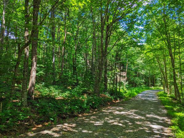 Lote elevado para construcción de $16,000 en un barrio pintoresco del sur de Vermont (Readsboro, VT)63184501934979124