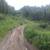 2.25 acres Kenai Peninsula 4 thumbnail