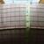 PEARSON CLUB CHAIR TIGHT BACK Skirt Came Ground Red Green 34" x 34" 18 thumbnail