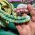 Crocheted Octopus twins plushies 7 thumbnail