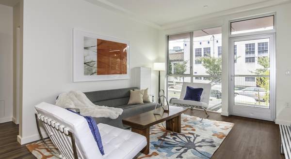 Ask us about our move-in specials! Contemporary LED Lighting, Dog Run 1