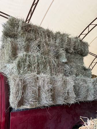 Grass hay small squares 1