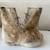 Bunny boots 6 thumbnail