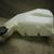 2001 Mustang COBRA Part Out 13 thumbnail