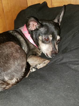 Min pin mix?64319351367426120