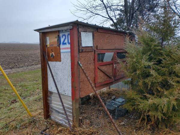 Pigeon kit box pigeon loft 1