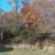 .45 acre lot for sale Fayette County WV 2 thumbnail