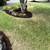 Landscaping and yard maintenance 8 thumbnail