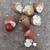Chicks 2 thumbnail
