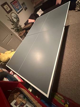 Prince PING PONG Table 1