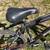 Schwinn Ranger Mountain Bike Bicycle Black 7 thumbnail