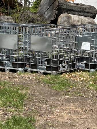 Cages from totes 1