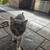 Sweet female Cat needs home 1 thumbnail