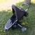 Baby stroller 1 thumbnail