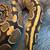 Ball pythons 2 thumbnail