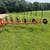 Befco 3pt wheel rake 3 thumbnail