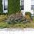 Pro Gardener* Fall Clean-up, Shape-up & Weeding 9 thumbnail