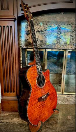 2000s Warrior Queen Anna Acoustic Guitar - Stunning Woods (OHSC) 1