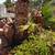 Tree service and Yard clean ups at the BEST price! Monthly specials!!! 14 thumbnail