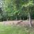 FALL CLEANUP SPECIAL ,GET YOUR YARD READY 1 thumbnail