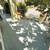 3308 Upperline -Cozy Broadmoor Home 4 thumbnail