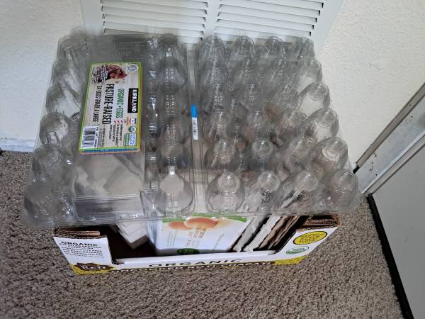 17 Eggs Cartons 1