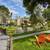 Luxury with Tons of Light! Pets OK - Short Drive to Dining, Shops 2 thumbnail