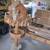 Custom cedar log cabin style bird house with squirrel feeding tray 3 thumbnail