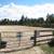 Full Care Horse Boarding - Stall 4 thumbnail