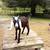 nubian buckling 3 thumbnail