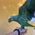 Amazon Parrot 4 thumbnail