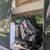 2020 Mercedes-Benz Sprinter 3.0L Turbodiesel V6 170" Extended (4x4) 6 thumbnail