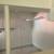 One bedroom apartment in North Stamford 8 thumbnail