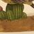 Home decor & more 12 thumbnail