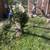 SL LANDSCAPING & TREE SERVICE 5 thumbnail
