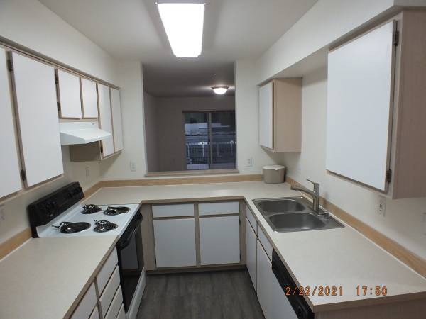$1,950 / 2br - 1000ft2 - $1950 2 habitaciones 2 baños, ¡luminoso y brillante! (Northgate)63808059427587122