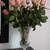 VASE 2 thumbnail