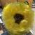 Free Yellow Mesh Flower Wreath 1 thumbnail