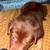 Puppy name ruffles 3 thumbnail