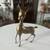 Vintage heavy brass Doe Fawn Deer - MCM 1 thumbnail