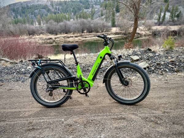 Magic Cycle Deer Dual Suspension 1