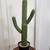 New Artificial Cactus Succulent 🌵 9 thumbnail